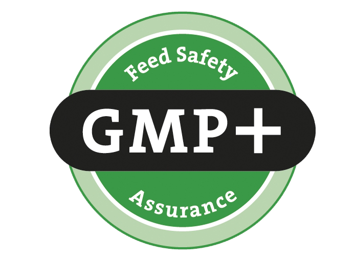 certyfikat gmp